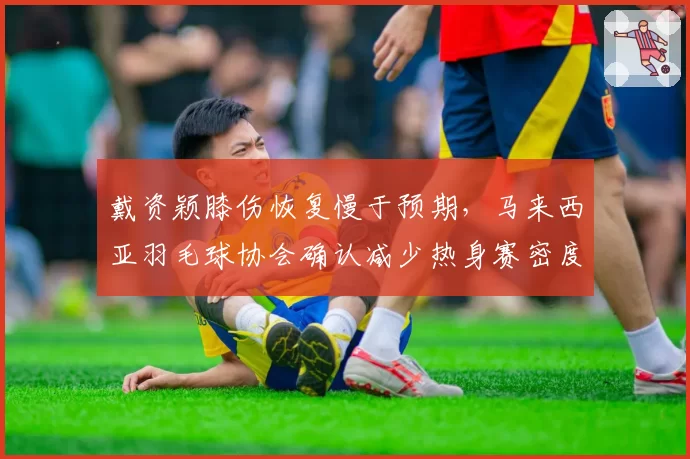 戴资颖膝伤恢复慢于预期，马来西亚羽毛球协会确认减少热身赛密度